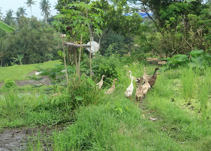 Permata Pensión